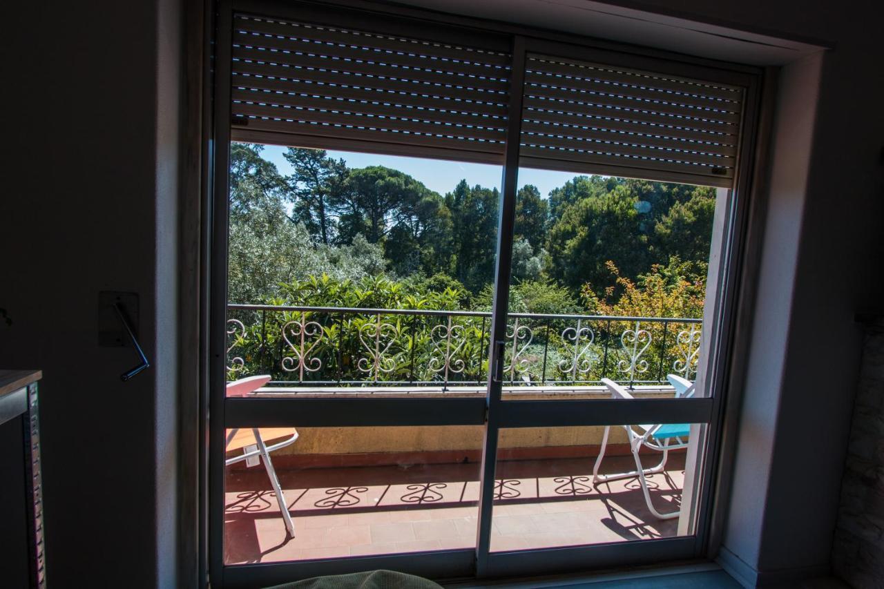 הוילה סינטרה Carvalhos House מראה חיצוני תמונה